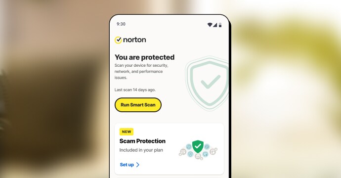 Mobile phone displaying Norton Mobile Security app